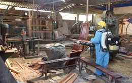 Số ca mắc sốt xuất huyết tăng 8 lần, tỉnh Nghệ An ra công văn hỏa tốc