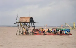 Hải Phòng tổ chức cưỡng chế 12 hộ dân nuôi ngao tại quận Hải An