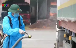 Lào Cai tăng cường kiểm soát dịch bệnh tại cửa khẩu