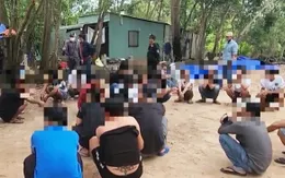 Triệt phá tụ điểm đánh bạc tại Phú Quốc, tạm giữ 30 con bạc