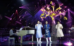 Những sự kết hợp đặc biệt trong "Hoa xuân ca"