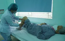 Y học cổ truyền trong điều trị các bệnh lý