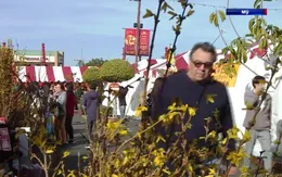 Rộn ràng không khí đón Xuân Quý Mão 2023 tại California (Mỹ)