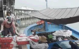 Tấp nập chợ cá sau chuyến biển xuyên Tết