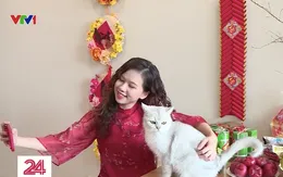 Năm Mão trò chuyện với cô gái nuôi 30 con mèo