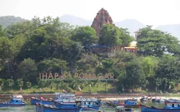 Sôi nổi các hoạt động tham quan, du lịch Tết Nguyên đán