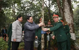 Tết trồng cây - Truyền thống tốt đẹp trong dịp Tết đến, Xuân về