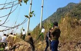 Thanh Hóa: Phát hiện 3 người tử vong dưới vực sâu do tai nạn giao thông