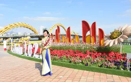 Đường hoa Tết Đà Nẵng kéo dài thêm 10 ngày