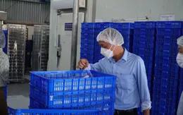 Miền Trung triển khai đợt cao điểm kiểm tra an toàn thực phẩm dịp Tết Quý Mão 2023