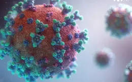 Biến chủng XBB của Omicron có thể lây lan nhanh dịp Tết