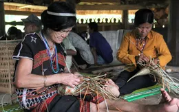 Tạo sinh kế ổn định để người dân gắn bó với rừng