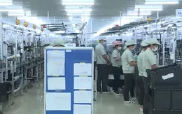 Gần 60% doanh nghiệp Nhật Bản sẽ mở rộng hoạt động kinh doanh tại Việt Nam