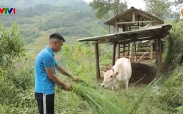 Tạo sinh kế cho bộ đội xuất ngũ