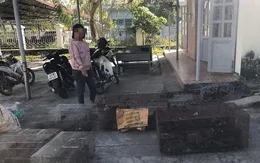 Tạm giữ đối tượng mua bán, tàng trữ trái phép động vật hoang dã quy mô lớn