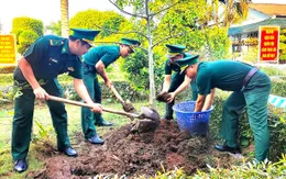 Cà Mau: Tết trồng cây, làm cho đất nước càng ngày thêm Xuân