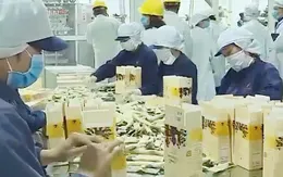 Thách thức xuất khẩu cà phê năm 2023