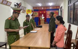 Đà Nẵng: Khởi tố nguyên Phó Chủ tịch UBND phường và giám đốc doanh nghiệp “thuê đất Nhà nước rồi phân lô bán nền”