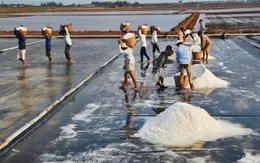 Giá muối cao, diêm dân không có muối để bán