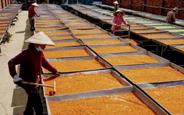 Thêm 14 di sản được ghi vào Danh mục Di sản văn hóa phi vật thể quốc gia