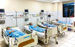 Cảnh báo tình trạng ngộ độc nấm rừng