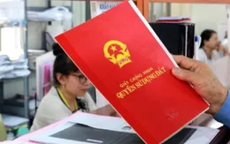 Góp vốn mua đất chung, làm sao để tránh mất tiền?