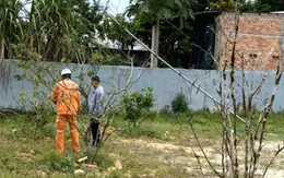 Tháo dỡ cây thông Noel, 6 người bị điện giật thương vong