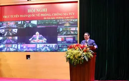 Thủ tướng dự Hội nghị trực tuyến toàn quốc về phòng, chống ma túy