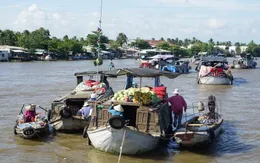 Nỗi niềm thương hồ chợ nổi Cái Răng