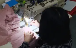 Trường công lập nợ lương và BHXH kéo dài