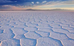 Bí ẩn sau "mô hình tổ ong" kỳ lạ trên sa mạc muối đã được giải đáp