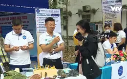 Nhiều trải nghiệm tại Ngày hội Tư vấn tuyển sinh hướng nghiệp