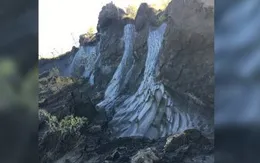 "Virus xác sống" được hồi sinh thành công sau 48.500 năm ở trong băng tuyết vĩnh cửu