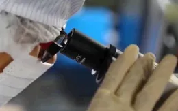 Trí thức khoa học Việt Nam cống hiến để phát triển đất nước