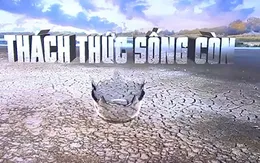 Thế giới trải qua nhiều thập kỷ quản lý sai và lạm dụng nguồn nước