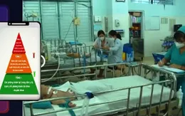 Phân tầng điều trị sốt xuất huyết