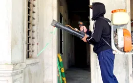 Hà Tĩnh: Không phát sinh bệnh nhân mới, ổ bọ chét mới tại thôn Phúc Thanh, xã Thạch Khê