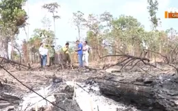 Chậm chuyển đổi gây áp lực công tác bảo vệ rừng