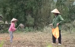 Cặp lá yêu thương: Cô chị cả và tia hy vọng duy nhất của ba mẹ