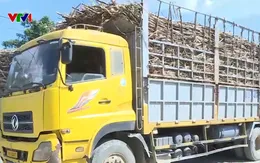 Gia Lai: Xử lý xe quá tải phải từ đầu nguồn