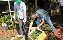 Số ca mắc sốt xuất huyết tại Đồng Nai gia tăng trong các tháng đầu năm