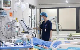 Va phải chó, người phụ nữ bị chấn thương sọ não nặng