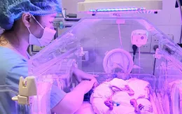 Nuôi sống thành công bé sinh non hơn 24 tuần