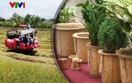 Quản lý hiệu quả rơm rạ giảm phát thải khí nhà kính