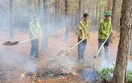 Cảnh báo cháy rừng cấp cực kỳ nguy hiểm ở Tây Nguyên
