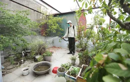 Hà Nội còn gần 300 ổ dịch sốt xuất huyết diễn biến phức tạp