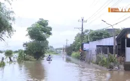 Mưa lớn gây ngập cục bộ ở Thừa Thiên Huế, đê sông Lam (Nghệ An) sạt lở nghiêm trọng