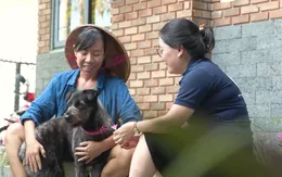 Người trẻ hướng tới mục tiêu nói không với thịt chó, mèo