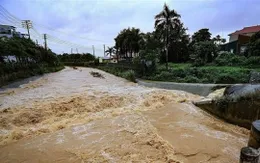 Quảng Bình: Chủ động dự trữ lương thực, nhu yếu phẩm phòng bị chia cắt dài ngày