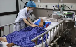 Bắt rắn chơi, bé trai 7 tuổi bị rắn độc cắn nguy kịch